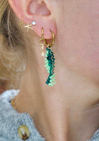 Fishy Earrings