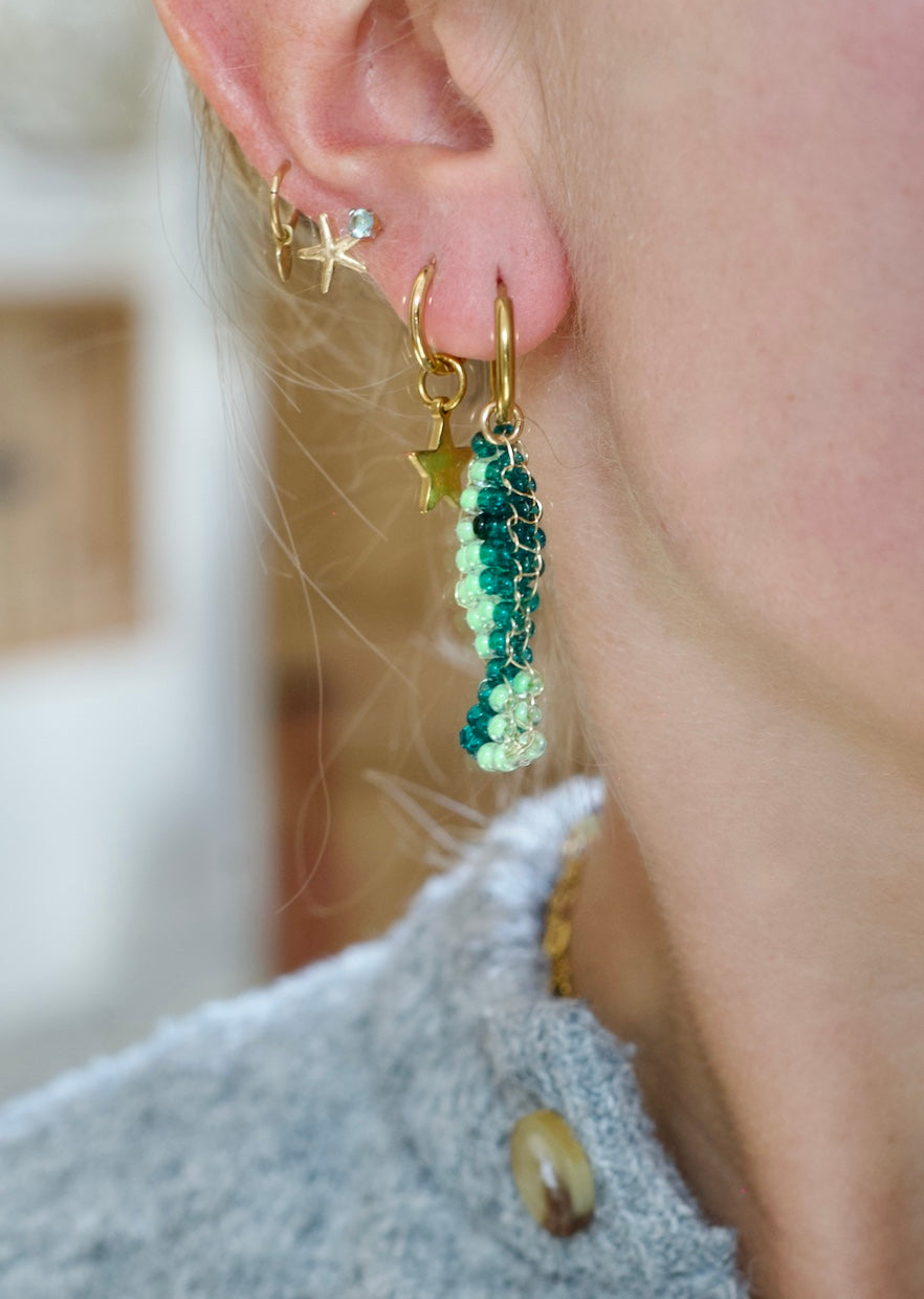 Fishy Earrings