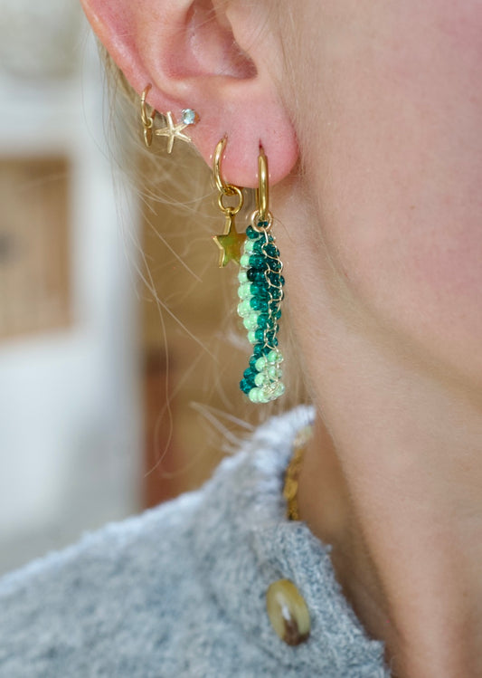 Fishy Earrings